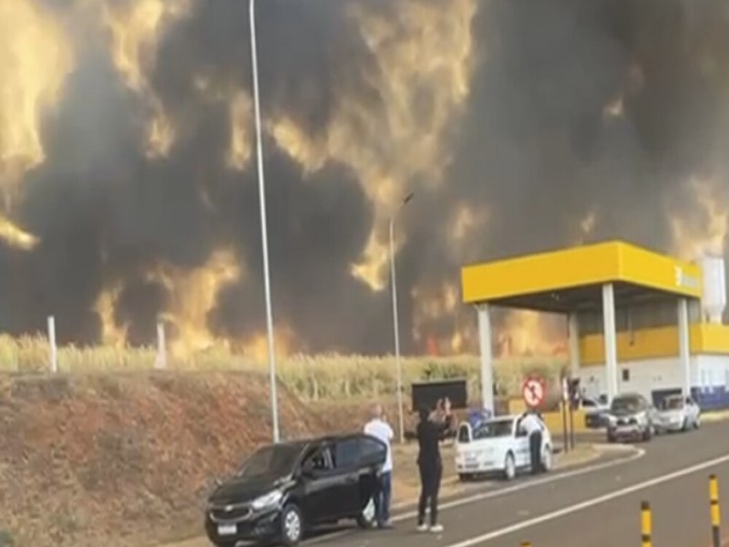 Governador de So Paulo decreta estado de emergncia e Polcia Federal vai investigar as causas dos incndios que atingiram vrias regies do pas neste final de semana