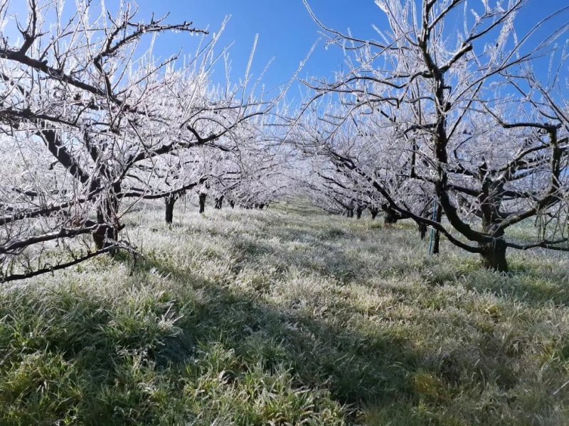 Em Santa Catarina, mais de 20 cidades,  amanhecem com temperaturas negativas