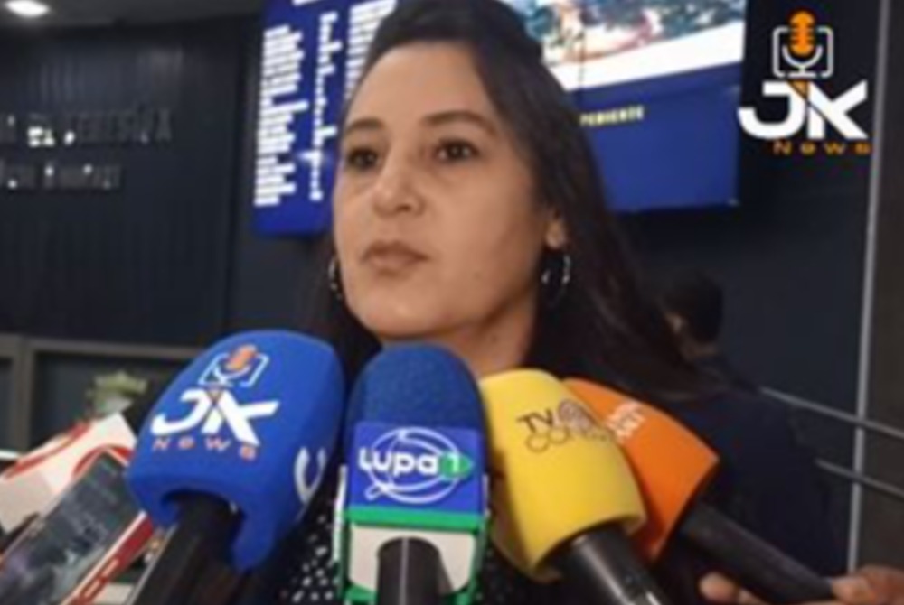 Imagem da Not&iacute;cia Ana Fidelis mant�m pr�-candidatura a deputada federal: 