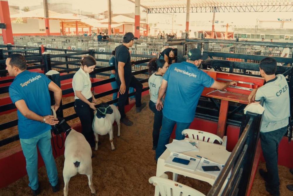 Com mais de 500 ba�as vendidas Caprishow Dormentes destaca potencial da caprinovinocultura