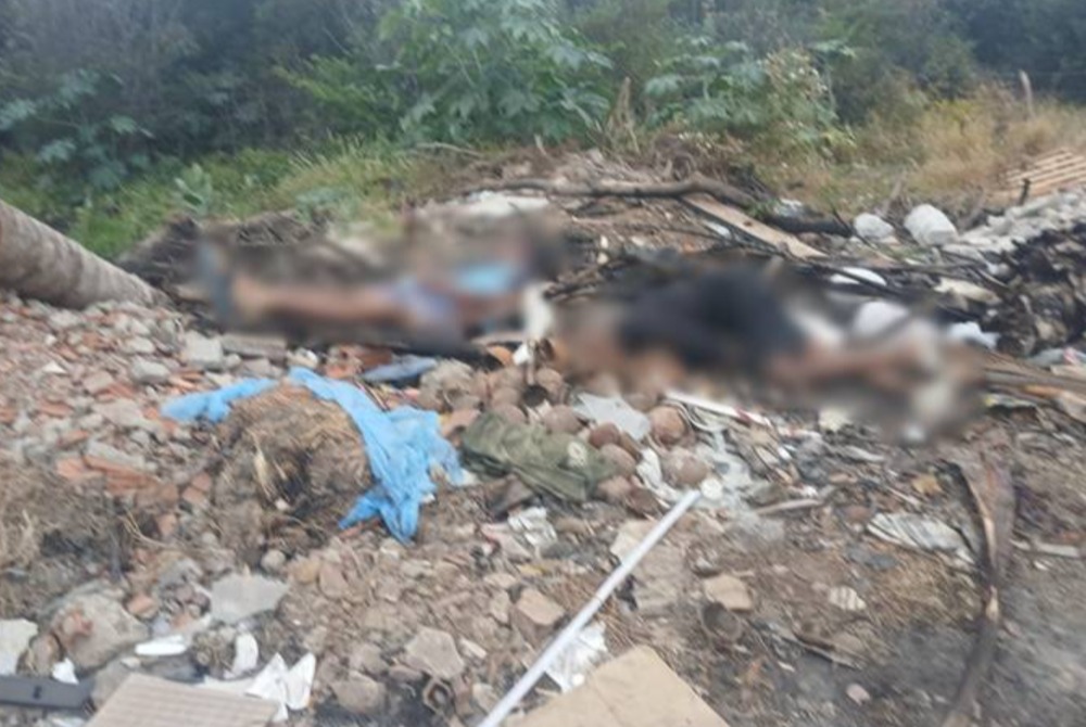 Corpos com sinais de viol�ncia s�o encontrados na Zona Rural de Petrolina