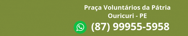 Neto M�veis