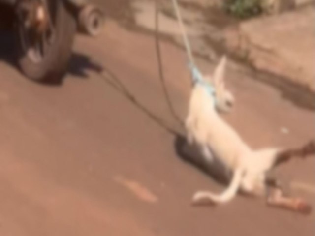 Mulheres s�o presas ap�s arrastar cachorro em motocicleta