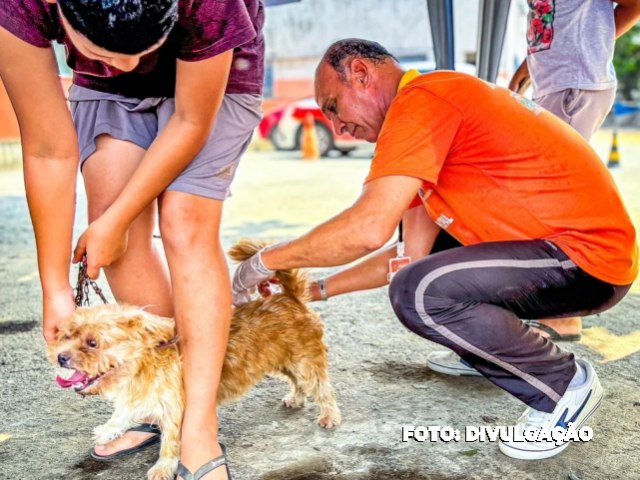 Campanha de Vacina Antirrbica Protege Mais de 900 Animais em Belford Roxo