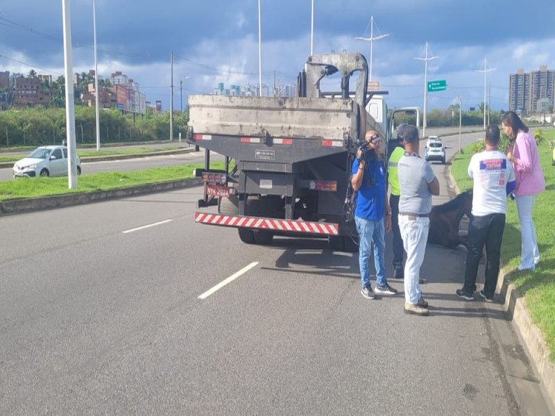 Motociclista atropela cavalo na avenida Orlando Gomes