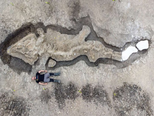 O fóssil de 'dragão do mar gigante' encontrado no Reino Unido