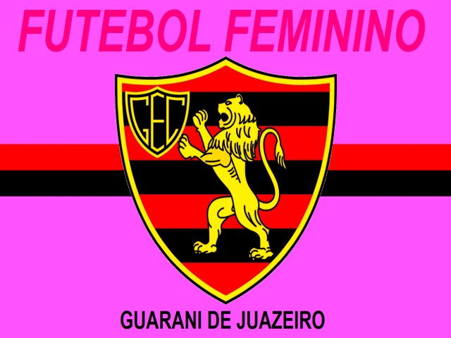 FUTEBOL FEMININO