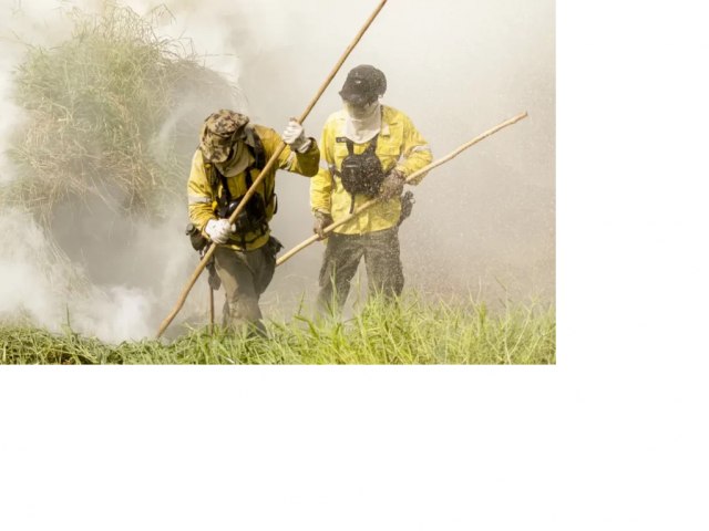 Focos de incêndios no Pantanal triplicam em 2023