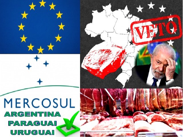 Brasil � o �nico pa�s do Mercosul afetado por veto da UE � carne