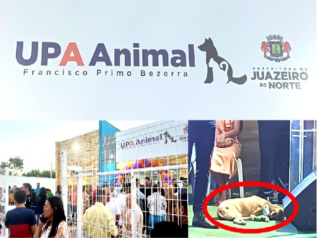 UPA Animal de Juazeiro do Norte inaugurada e aberta � popula��o