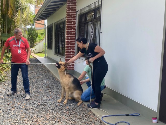 Secretaria de Meio Ambiente recolhe cachorro de grande porte solto em via pblica