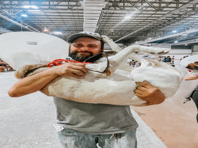 Mutiro de castrao da Prefeitura atende 1.650 animais