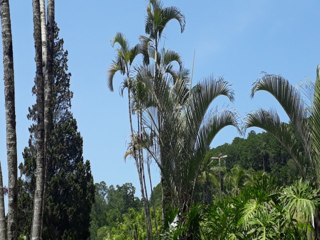 Previso para o final de semana em Blumenau no Vale Europeu