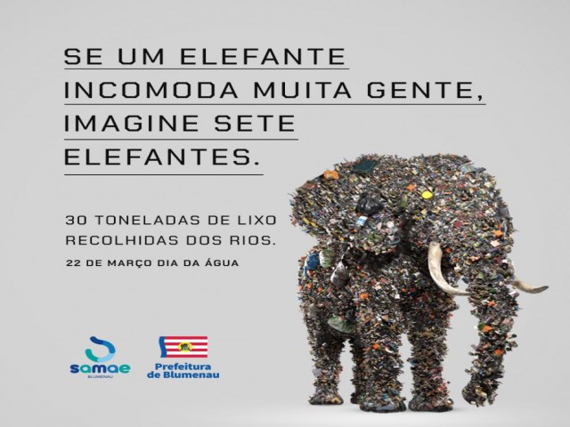 Campanha do Samae Blumenau Um elefante incomoda muita gente recebe destaque em site internacional