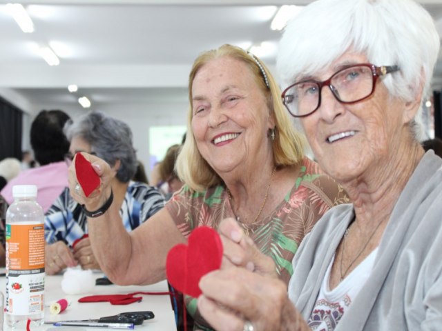 Artesanato em feltro  oficina da vez em encontro de Clubes de Mes