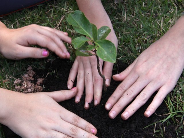 Prefeitura de Blumenau divulga edital para vagas remanescentes para o Conselho Municipal do Meio Ambiente