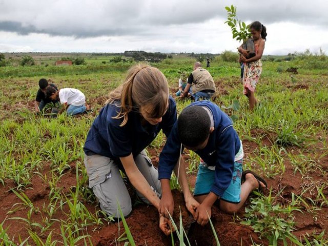 Nova lei inclui mudana climtica e biodiversidade na educao ambiental