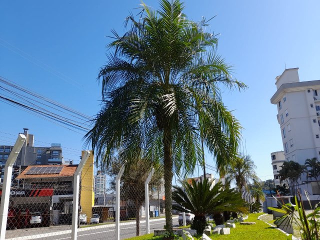 Previso do Tempo para o final de semana 