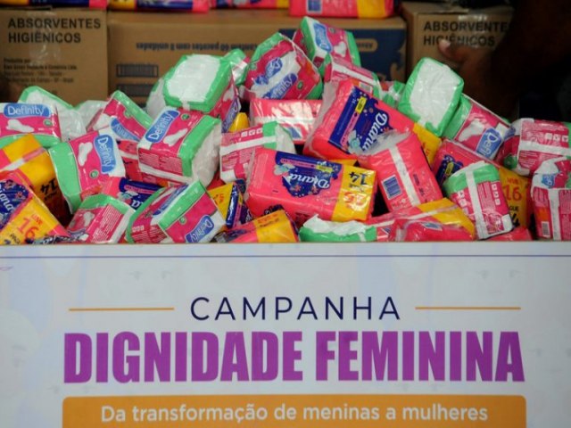 Projeto assegura a distribuio de absorventes femininos em pelo menos um local por municpio