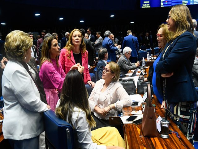 Pauta feminina avanou no Senado no primeiro semestre