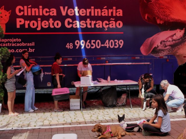 Blumenau realiza castrao de quase 20 mil animais em trs anos