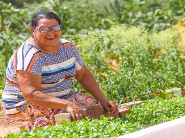 Programa de Aquisio de Alimentos beneficiou mais de 30 mil agricultores familiares no Piau