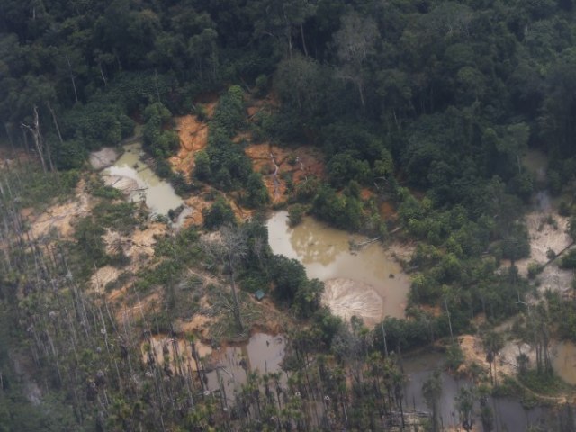 Garimpo ilegal devasta rea de 118 hectares em Rondnia e no Amazonas