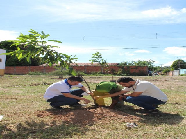 Viveiro de mudas da zona Norte e Rotary Club Sul realizam ao de arborizao na Santa Maria da Codip