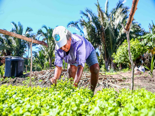 Governo do Piau vai solicitar emprstimo de R$ 150 milhes junto ao BNDES para a agricultura familiar