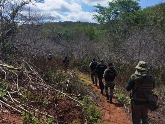 Secretaria de Meio Ambiente realiza mais uma etapa da Operao Cerrado Vivo no Sul do Piau