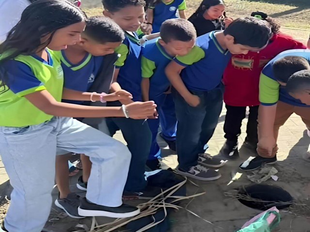 Escola Municipal O.G. Rego de Carvalho  destaque com projeto contra a dengue