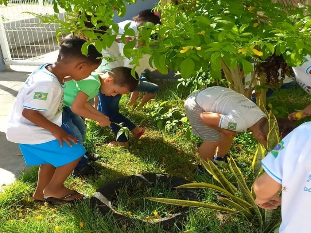 Espao e ambiente so explorados pelos alunos do CMEI Joo Paulo