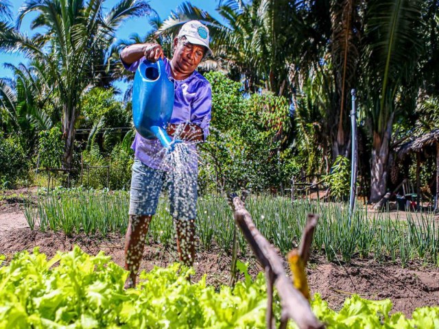 Governo do Piau lana programas e anuncia recursos de quase R$ 100 milhes para agricultura familiar nesta quinta (25)