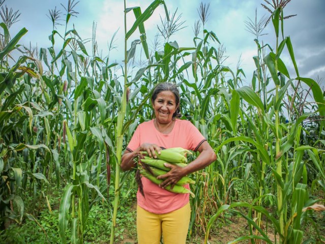 Dia da Mulher Rural: mais de 80% dos alimentos adquiridos pelo PAA so produzidos por agricultoras