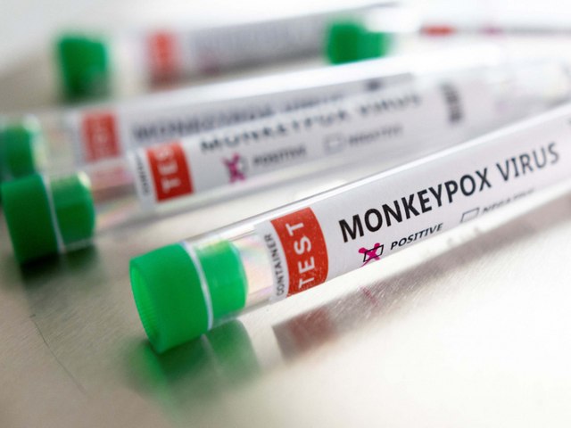 Brasil receber antiviral para combate  varola dos macacos
