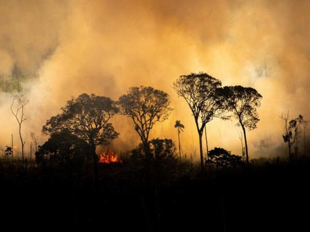 Governo do Amazonas decreta estado de emergncia ambiental aps seca em setembro