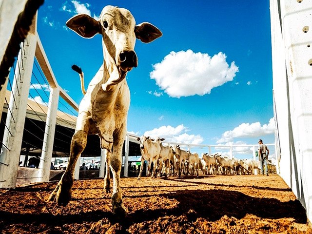 Com montagem acelerada, AgroFormosa espera pblico recorde para segunda edio