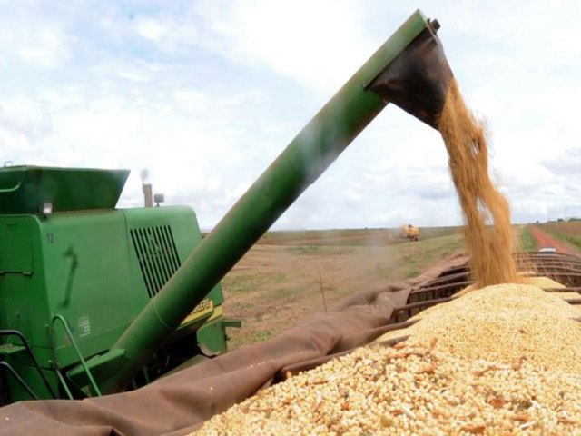 O valor da soja registrou uma queda significativa no estado do Paran
