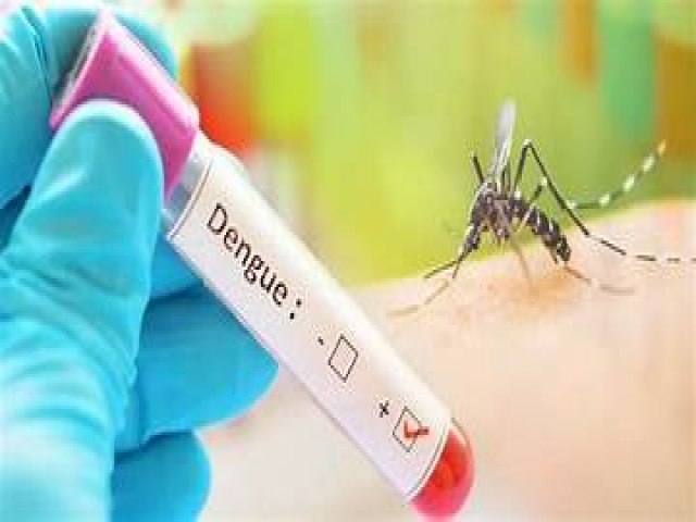 Brasil atinge  marca de mais de 4 milhes de casos de dengue, com o nmero de mortes chegando a 1.937