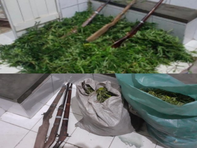 Polcia Militar erradica plantio de maconha e apreende 30 Kg da droga e armas em Moreilndia