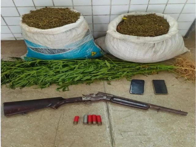 GATI com apoio do Malhas da Lei erradica plantio de maconha e apreende 18 Kg da droga pronta para o consumo em Itacuruba