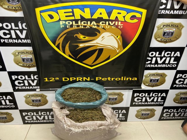 Traficante foge e Policiais Civis do DENARC apreendem 10 Kg de maconha em Petrolina