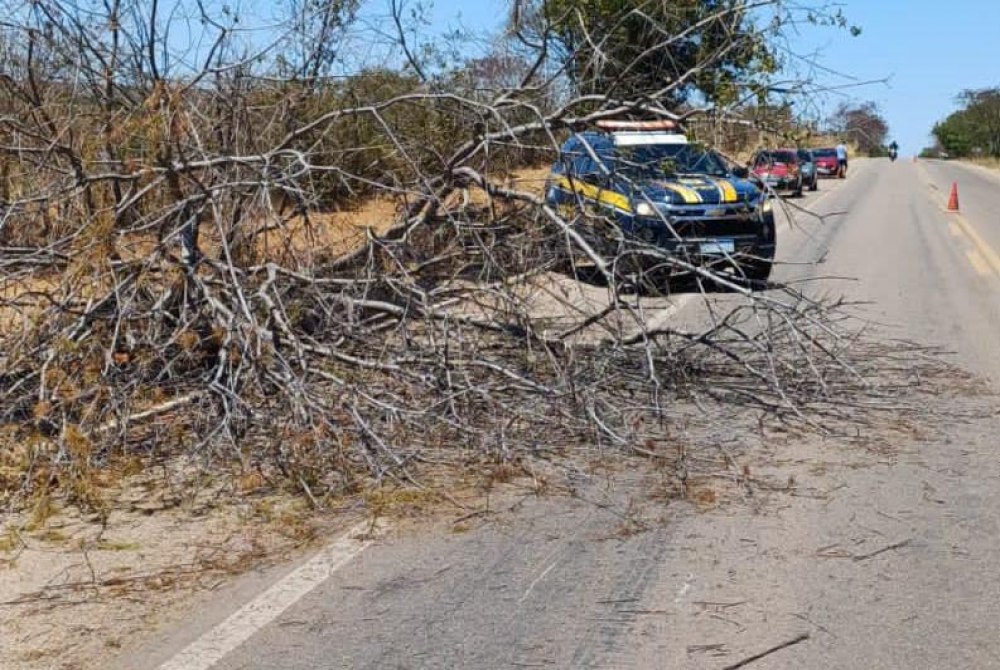 Acidente na BR-316 em Araripina deixa motociclista morto
