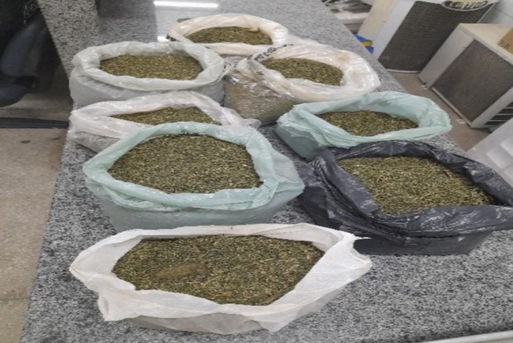 Pol�cia Militar apreende mais de 4 kg de maconha na zona rural de Floresta