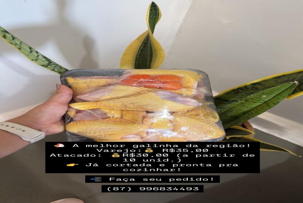 A melhor galinha da regi�o voc� encontra em Salgueiro, com pre�o especial e entrega gr�tis pelo telefone (87) 99683-4493