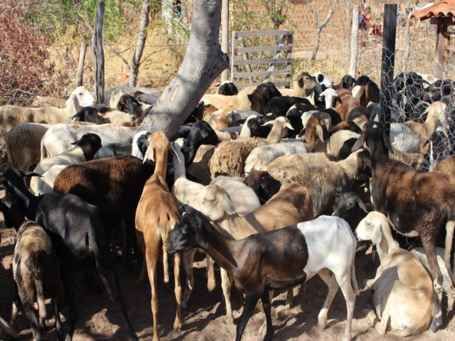 Rafael Fonteles lana programas voltados para melhorias na produo do campo