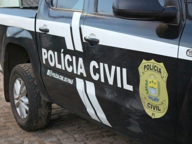 Governo do Piau publica decreto sobre reorganizao da Polcia Civil e criao de 2 delegacias no interior