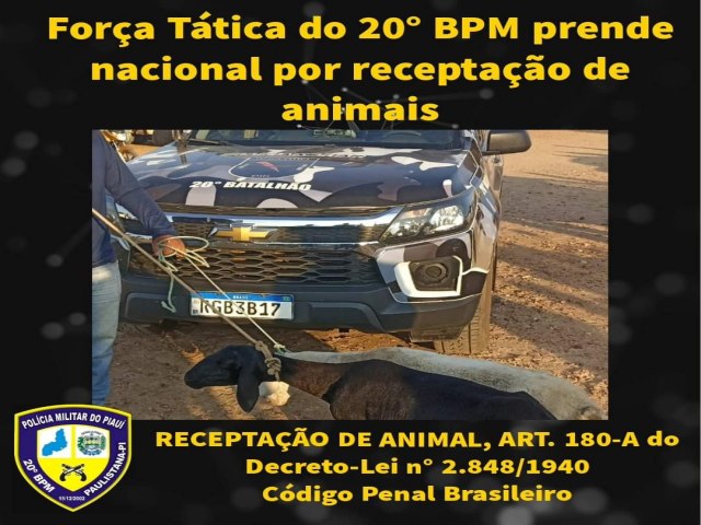 FORA TTICA DO 20 BPM PRENDE NACIONAL POR RECEPTAO DE ANIMAL