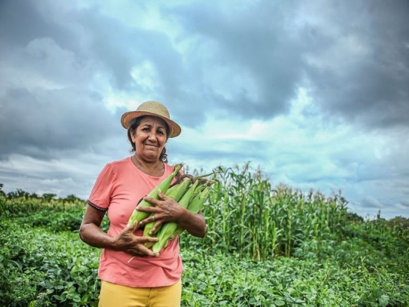 Mulheres produzem entre 60% e 80% dos alimentos da agricultura familiar