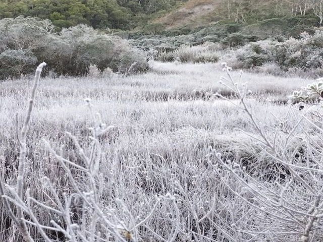 Imagina o frio! Na manh desta sexta-feira (19) o Parque Nacional do Capara amanheceu 